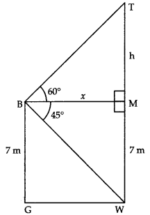 Some Applications of Trigonometry Class 10 Extra Questions Maths Chapter 9 with Solutions 8