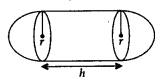 Surface Areas and Volumes Class 10 Notes Maths Chapter 13 6