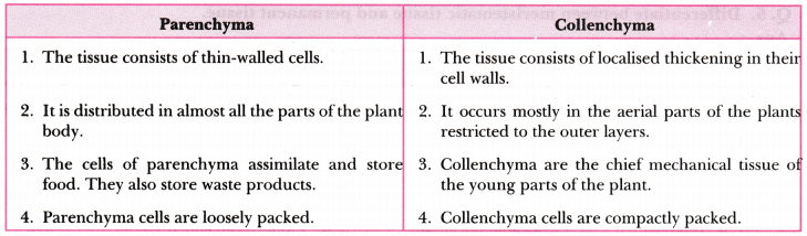 Tissues Class 9 Extra Questions Science Chapter 6 - Learn CBSE