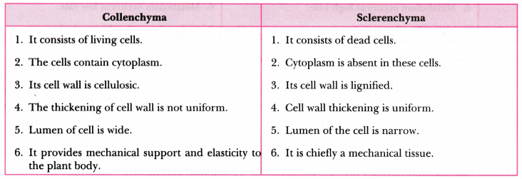 Tissues Class 9 Extra Questions Science Chapter 6 - Learn CBSE