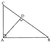 Triangles Class 10 Extra Questions Maths Chapter 6 with Solutions 18