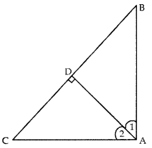 Triangles Class 10 Extra Questions Maths Chapter 6 with Solutions 26
