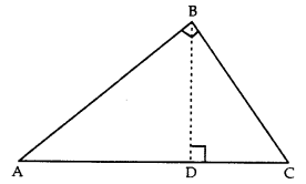 Triangles Class 10 Extra Questions Maths Chapter 6 with Solutions 37