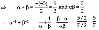 Polynomials Class 10 Extra Questions Maths Chapter 2 with Solutions 3