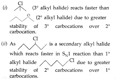 Important Questions for Class 12 Chemistry Chapter 10 Haloalkanes and Haloarenes Class 12 Important Questions 55