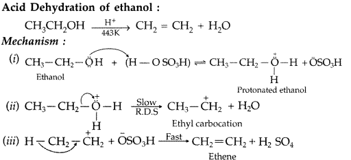 Important Questions for Class 12 Chemistry Chapter 11 Alcohols, Phenols and Ethers Class 12 Important Questions 54