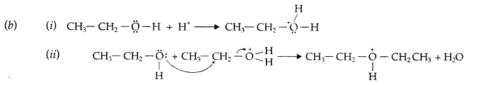 Important Questions for Class 12 Chemistry Chapter 11 Alcohols, Phenols and Ethers Class 12 Important Questions 95