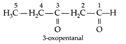 Important Questions for Class 12 Chemistry Chapter 12 Aldehydes, Ketones and Carboxylic Acids Class 12 Important Questions 1
