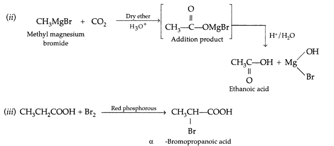 Important Questions for Class 12 Chemistry Chapter 12 Aldehydes, Ketones and Carboxylic Acids Class 12 Important Questions 171