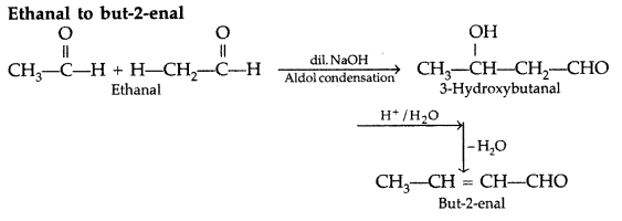 Important Questions for Class 12 Chemistry Chapter 12 Aldehydes, Ketones and Carboxylic Acids Class 12 Important Questions 177