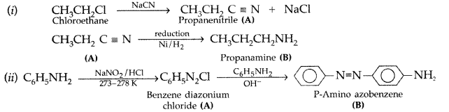 Important Questions for Class 12 Chemistry Chapter 13 Amines Organic Compounds Containing Nitrogen Class 12 Important Questions 11