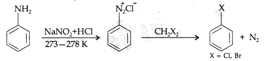 Important Questions for Class 12 Chemistry Chapter 13 Amines Organic Compounds Containing Nitrogen Class 12 Important Questions 23