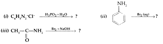 Important Questions for Class 12 Chemistry Chapter 13 Amines Organic Compounds Containing Nitrogen Class 12 Important Questions 53