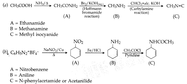 Important Questions for Class 12 Chemistry Chapter 13 Amines Organic Compounds Containing Nitrogen Class 12 Important Questions 73