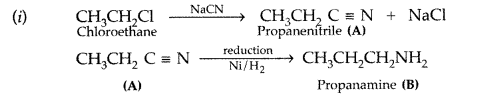 Important Questions for Class 12 Chemistry Chapter 13 Amines Organic Compounds Containing Nitrogen Class 12 Important Questions 85