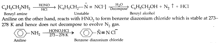 Important Questions for Class 12 Chemistry Chapter 13 Amines Organic Compounds Containing Nitrogen Class 12 Important Questions 9