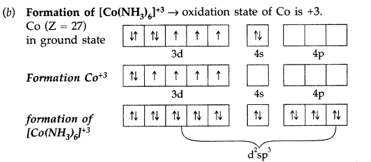 Important Questions for Class 12 Chemistry Chapter 9 Coordination Compounds Class 12 Important Questions 19