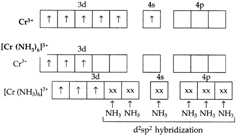Important Questions for Class 12 Chemistry Chapter 9 Coordination Compounds Class 12 Important Questions 23