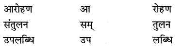 CBSE Class 9 Hindi B व्याकरण उपसर्ग-प्रत्यय 14