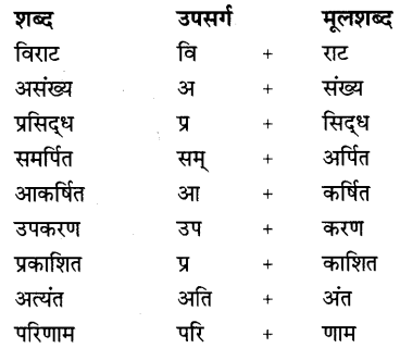 CBSE Class 9 Hindi B व्याकरण उपसर्ग-प्रत्यय 17