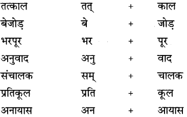 CBSE Class 9 Hindi B व्याकरण उपसर्ग-प्रत्यय 23