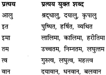 CBSE Class 9 Hindi B व्याकरण उपसर्ग-प्रत्यय 30