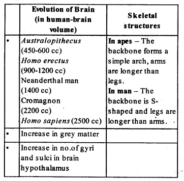 NCERT Solutions Class 12 Biology Chapter 7 - Evolution