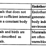NCERT Solutions For Class 12 Biology Organisms and Populations Q10.1