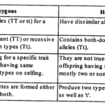 NCERT Solutions For Class 12 Biology Principles of Inheritance and Variation Q2.1