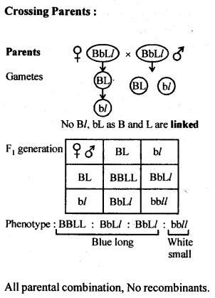 NCERT Solutions For Class 12 Biology Principles of Inheritance and Variation Q8