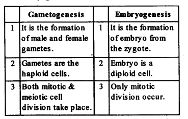 NCERT Solutions For Class 12 Biology Reproduction in Organisms Textbook Questions Q14