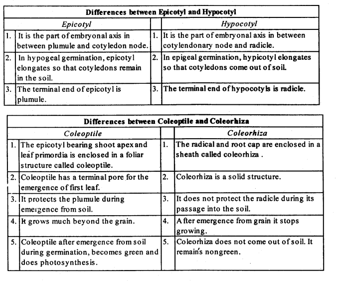 NCERT Solutions For Class 12 Biology Sexual Reproduction in Flowering Plants Q13
