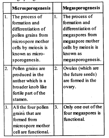 NCERT Solutions For Class 12 Biology Sexual Reproduction in Flowering Plants Q2