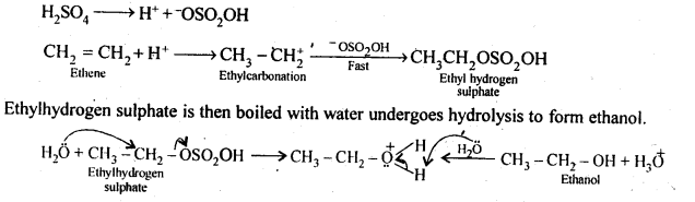 NCERT Solutions For Class 12 Chemistry Chapter 11 Alcohols Phenols and Ether Exercises Q11