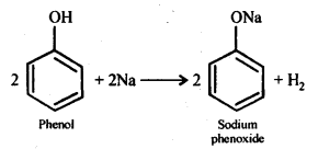 NCERT Solutions For Class 12 Chemistry Chapter 11 Alcohols Phenols and Ether Exercises Q14