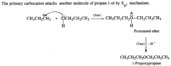 NCERT Solutions For Class 12 Chemistry Chapter 11 Alcohols Phenols and Ether Exercises Q26.1