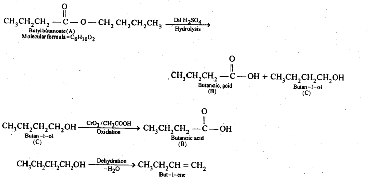 NCERT Solutions For Class 12 Chemistry Chapter 12 Aldehydes Ketones and Carboxylic Acids Exercises Q11