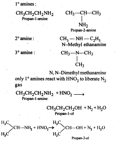 NCERT Solutions For Class 12 Chemistry Chapter 13 Amines Intext Questions Q8