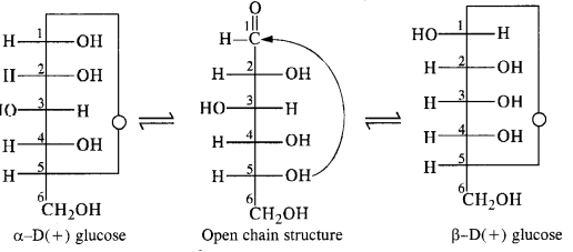 NCERT Solutions For Class 12 Chemistry Chapter 14 Biomolecules Exercises Q10