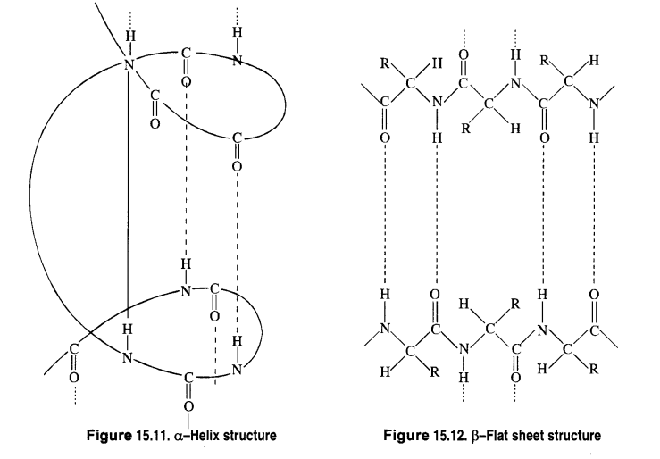 NCERT Solutions For Class 12 Chemistry Chapter 14 Biomolecules Exercises Q13