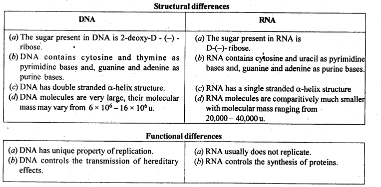 NCERT Solutions For Class 12 Chemistry Chapter 14 Biomolecules Exercises Q24