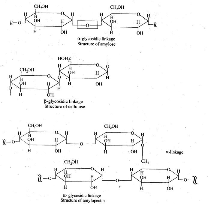 NCERT Solutions For Class 12 Chemistry Chapter 14 Biomolecules Exercises Q8