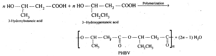 NCERT Solutions For Class 12 Chemistry Chapter 15 Polymers Exercises Q20