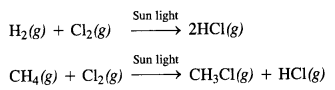 NCERT Solutions For Class 12 Chemistry Chapter 4 Chemical Kinetics Exercises Q5.1