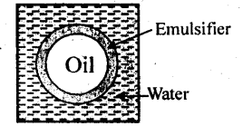 NCERT Solutions For Class 12 Chemistry Chapter 5 Surface Chemistry Exercises Q17