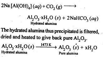 NCERT Solutions For Class 12 Chemistry Chapter 6 General Principles and Processes of Isolation of Elements Exercises Q13.1