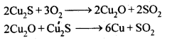 NCERT Solutions For Class 12 Chemistry Chapter 6 General Principles and Processes of Isolation of Elements Exercises Q17.1
