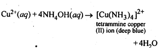 NCERT Solutions For Class 12 Chemistry Chapter 7 The p Block Elements Textbook Questions Q5
