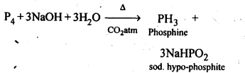 NCERT Solutions For Class 12 Chemistry Chapter 7 The p Block Elements Textbook Questions Q8