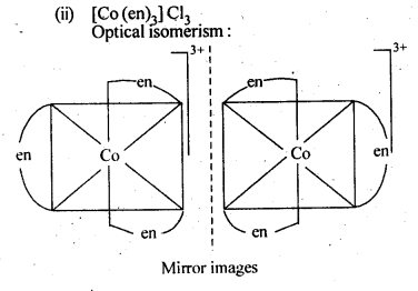 NCERT Solutions For Class 12 Chemistry Chapter 9 Coordination Compounds Intext Questions Q3.1